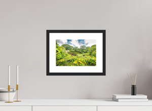 Rainbow Falls Hawaii