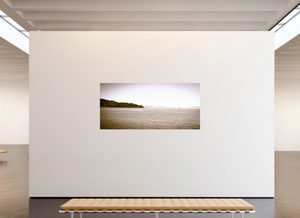 San Francisco Skyline