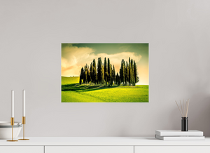 Cypress' in the Dawn