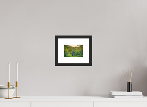 Falling for the Big Island