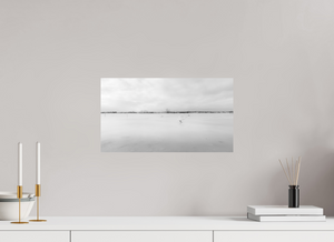 Swans on a Frozen River