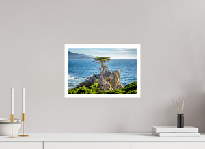 The Lone Cypress