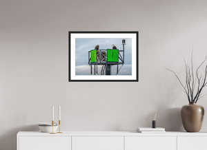 Eagles Standing Watch in Alaska