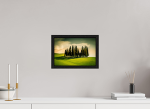 Cypress' in the Dawn