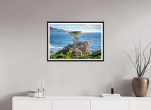 The Lone Cypress stands resilient against the sea, embodying strength and beauty in nature's embrace.