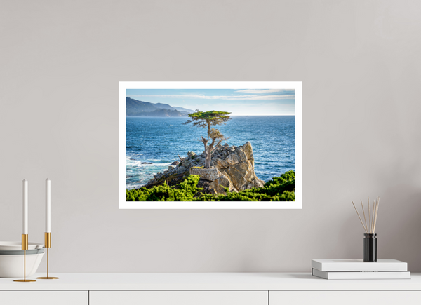 The Lone Cypress