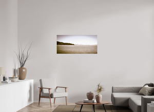 Breathtaking view of the San Francisco Skyline from Tiburon, capturing urban beauty and serene waters.