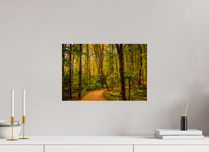 Path to Least Resistance