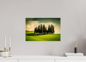 Cypress' in the Dawn