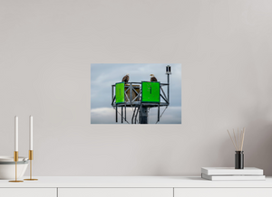 Eagles Standing Watch in Alaska