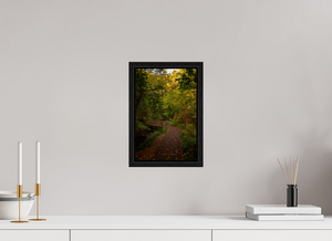 Bridge through the Forest