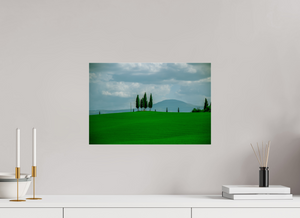 Cypress Peace in Tuscany