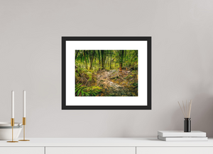 The National Forest of El Yunque