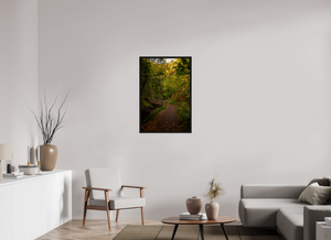 Bridge through the Forest