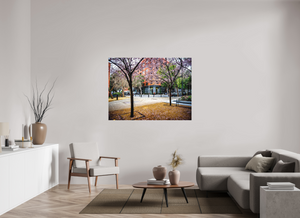 Vibrant trees in San Francisco's Embarcadero highlight "Blossoms Between the Blocks - Large Print" for stunning decor.