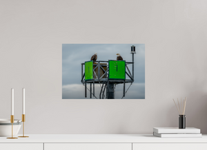 Eagles Standing Watch in Alaska