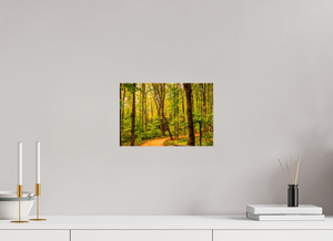 Path to Least Resistance