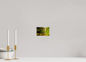 Water falls into Paradises’ Pool