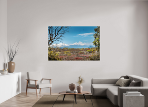 A Volcanic Landscape