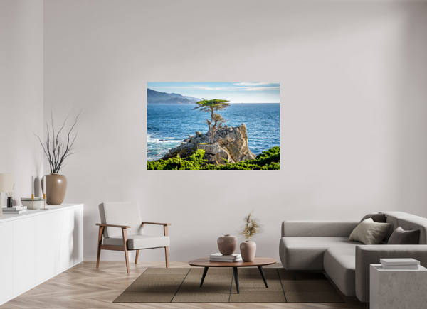 The Lone Cypress