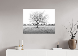 Winter Sentinel of Grand Haven