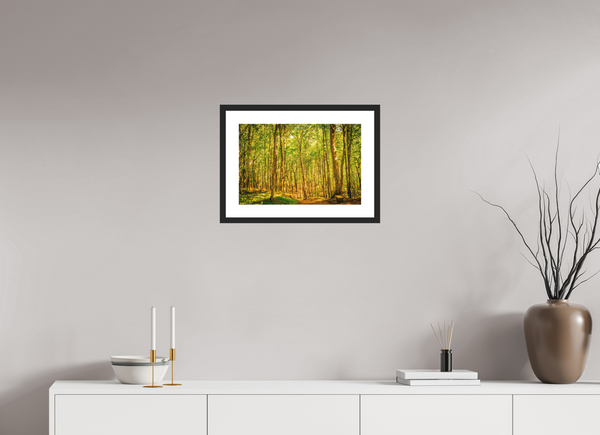 Trees in the Forest