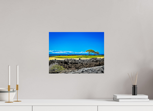 The Iconic Par-3, No. 17 at Hualalai