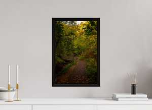 Bridge through the Forest