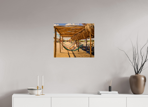 Hammocks on the Beach