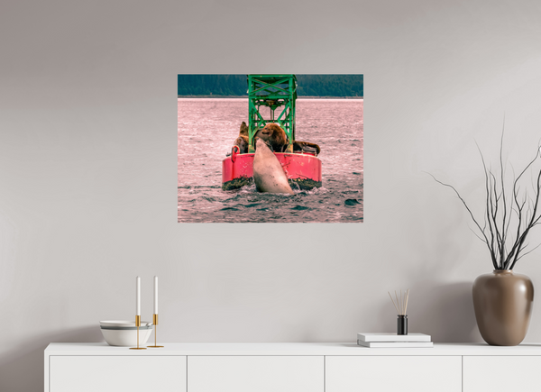 My Buoy