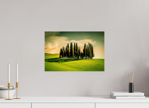 Cypress' in the Dawn