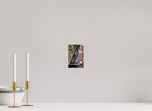 Starting Grid at 2022 Monaco GP