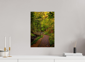 Bridge through the Forest