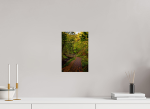 Bridge through the Forest