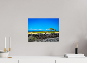 The Iconic Par-3, No. 17 at Hualalai