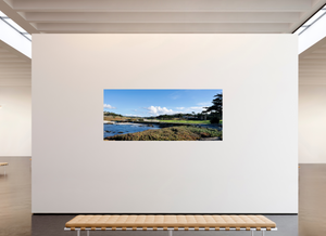 Cypress from 17-mile Drive - Large Print