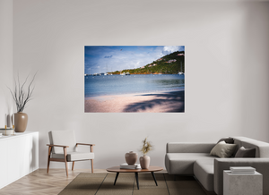 Pelicans Feeding - Large Print