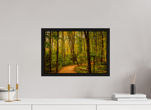 Path to Least Resistance