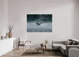 Graceful Entry - Large Print