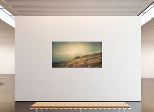 Foggy Day on the Golden Gate Straits