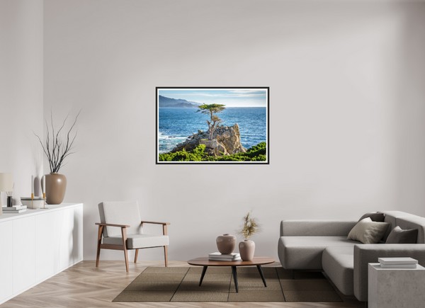 The Lone Cypress