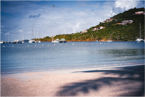 Pelicans Feeding - Large Print