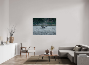 Graceful Entry - Large Print