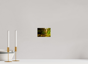 Water falls into Paradises’ Pool