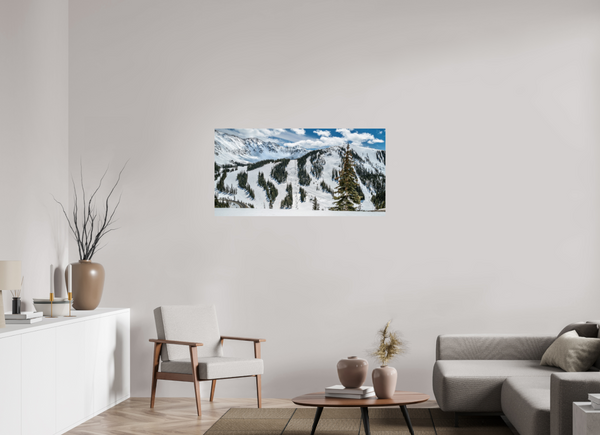 Face of A-Basin