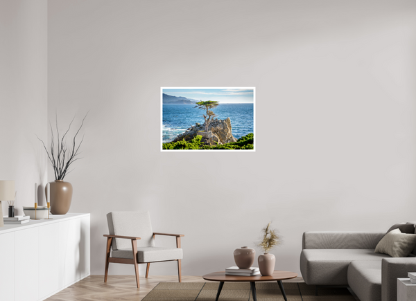 The Lone Cypress