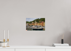 The Portofino Marina