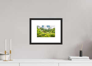 Rainbow Falls Hawaii