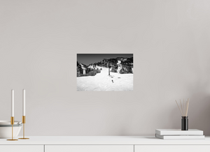 Aspen in Black and White