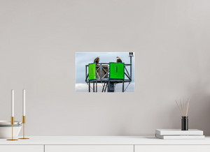 Eagles Standing Watch in Alaska